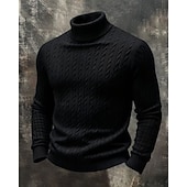 abordables Pull col rond-Homme Pull Pull Tricoté Côtelé Tricoter Hauts Réguliers Tricoté Couleur Unie Col roulé Mode Streetwear Occasionnel Tenue quotidienne Vêtement Tenue Automne Hiver Noir Blanche S M L