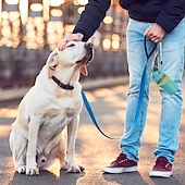 abordables Cuencos y Comederos-Recogedor de excrementos portátil sin contacto para perros pequeños, medianos y grandes. Incluye 15 bolsas y un contenedor hermético para recoger los desechos.