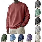 baratos Suéteres básicos-Homens Moletom Moletom Waffle Estacionar Cinza Claro Gola Redonda Tecido Textura Casual Diário Desportos e Ar livre Roupa de rua Legal Roupa de Esporte Primavera &amp; Outono Roupa Moletons Moletons