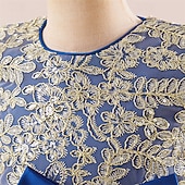 abordables Robes de fête-Enfants Fille Robe Robe de Soirée Couleur Unie Sans manches Formel Performance Occasion Spéciale Noeud de cravate Mode Quotidien Princesse Polyester Maxi Robe de Soirée Robe évasée Robe en Tulle Ét