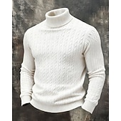 abordables Pull col rond-Homme Pull Pull Tricoté Côtelé Tricoter Hauts Réguliers Tricoté Couleur Unie Col roulé Mode Streetwear Occasionnel Tenue quotidienne Vêtement Tenue Automne Hiver Noir Blanche S M L