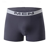 cheap Men's Boxers Underwear-Men's 10 Pack Basic Panties Boxers Underwear Briefs Elastic Waist Terylene Breathability Comfortable Letters Multi color
