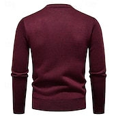 Недорогие мужской пуловер-свитер-Муж. Пуловер Свитер Вязаный свитер Рельефный узор Вязать Обычные топы Трикотаж Геометрический принт Вырез под горло Мода Классический Отпуск На каждый день Одежда Наступила зима Синий Винный L XL 2XL