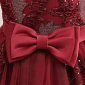 preiswerte Partykleider-Kinder Mädchen Kleid Partykleid Einfarbig Ärmellos Formell Leistung Besonderer Anlass Knotenbinde Netz Mode Täglich Prinzessin Polyester Maxi Partykleid Schwingkleid Tüllkleid Sommer Frühling 5-12