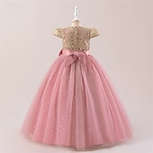 abordables Robes de fête-Enfants Fille Robe Robe de Soirée Couleur Unie Sans manches Formel Performance Occasion Spéciale Noeud de cravate Mode Quotidien Princesse Polyester Maxi Robe de Soirée Robe évasée Robe en Tulle Ét