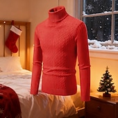 preiswerte Herrenpullover-Herren Pullover Strickpullover Gerippt Stricken Normale Oberteile Gestrickt Einfach Rollkragen Mode Basic Urlaub Alltagskleidung Bekleidung Herbst Winter Rote Armeegrün S M L
