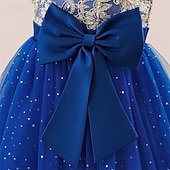 abordables Robes de fête-Enfants Fille Robe Robe de Soirée Couleur Unie Sans manches Formel Performance Occasion Spéciale Noeud de cravate Mode Quotidien Princesse Polyester Maxi Robe de Soirée Robe évasée Robe en Tulle Ét
