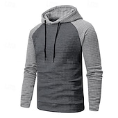 baratos hoodies básicos dos homens-Homens Moletom Estacionar Preto Cinza Claro Cinzento Escuro Cinzento Com Capuz Bloco de cor Com Cordão Desportos e Ar livre Casual Diário Impressão 3D Roupa de rua Roupa de Esporte Casual Outono