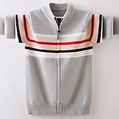 abordables Pulls et cardigans pour garçons-Chandail Enfants Garçons Rayure manche longue Garder au chaud Extérieur Mode Quotidien Basique bleu marine Gris Automne Hiver Vêtements 4 ans et +