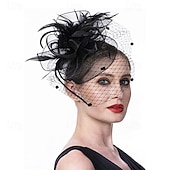 voordelige Fascinators-Hoofdtooi Haarclip Veer Veren Bruiloft Verjaardag Elegant Vintage Met Veer Tule Helm Hoofddeksels