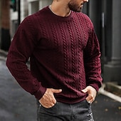 voordelige pullover voor heren-Voor heren Trui Kabel gebreide trui Kabel breien Normale tops Gebreid Strakke pasvorm Effen Strakke ronde hals Gebreid Hedendaagse Casual Alledaagse kleding Kleding Herfst winter Donkergroen M L XL