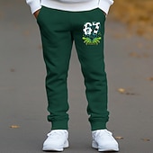  Универсальные Мальчики 3D Графика 67 Брюки Штаны Весна Осень Уличный стиль Классический Дети 4-12 лет на открытом воздухе спорт Повседневные Стандартный