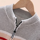 abordables Pulls et cardigans pour garçons-Chandail Enfants Garçons Rayure manche longue Garder au chaud Extérieur Mode Quotidien Basique bleu marine Gris Automne Hiver Vêtements 4 ans et +