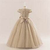 abordables Robes de fête-Enfants Fille Robe Robe de Soirée Couleur Unie Sans manches Formel Performance Occasion Spéciale Noeud de cravate Mode Quotidien Princesse Polyester Maxi Robe de Soirée Robe évasée Robe en Tulle Ét