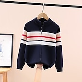 abordables Pulls et cardigans pour garçons-Chandail Enfants Garçons Rayure manche longue Garder au chaud Extérieur Mode Quotidien Basique bleu marine Gris Automne Hiver Vêtements 4 ans et +