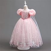 Недорогие Костюмы для девочек-Неделя книги 2026, детское платье для девочек, вечернее платье, платье с коротким рукавом и снежинками, для торжественных мероприятий, выступлений, особых случаев, с пайетками, сетчатое, модное, повседневное, принцесса, макси-платье, вечернее платье, плат