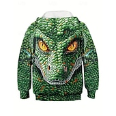 Недорогие Мальчиковые 3D Животные-Мальчики 3D Графика Животное Динозавр Толстовка Pullover Длинный рукав 3D печать Весна Осень Спорт Мода Уличный стиль Дети 4-12 лет Капюшон на открытом воздухе Повседневные Стандартный