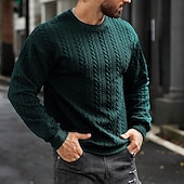 voordelige pullover voor heren-Voor heren Trui Kabel gebreide trui Kabel breien Normale tops Gebreid Strakke pasvorm Effen Strakke ronde hals Gebreid Hedendaagse Casual Alledaagse kleding Kleding Herfst winter Donkergroen M L XL