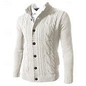 economico Maglioni Cardigan da uomo-Per uomo Felpa Cardigan A Coste Treccia Maglia Top Regolari Lavorato a maglia Semplice Collo alla coreana Vacanza Moda Casuale Abbigliamento quotidiano Abbigliamento Autunno Inverno Blu Nero L XL 2XL