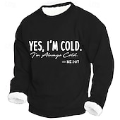 economico Felpe Divertenti-Per uomo Divertente Pile Felpa Quotidiano Casual 3D Girocollo Casa Feste Regalo Abbigliamento casual alla moda Blu Nero Rosso Verde Stampa 3D Autunno Inverno progettista S M L XL XXL XXXL