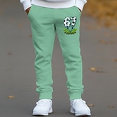  Универсальные Мальчики 3D Графика 67 Брюки Штаны Весна Осень Уличный стиль Классический Дети 4-12 лет на открытом воздухе спорт Повседневные Стандартный