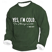 economico Felpe Divertenti-Per uomo Divertente Pile Felpa Quotidiano Casual 3D Girocollo Casa Feste Regalo Abbigliamento casual alla moda Blu Nero Rosso Verde Stampa 3D Autunno Inverno progettista S M L XL XXL XXXL