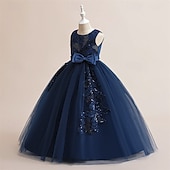 preiswerte Partykleider-Kinder Mädchen Kleid Partykleid Einfarbig Ärmellos Formell Leistung Besonderer Anlass Knotenbinde Netz Mode Täglich Prinzessin Polyester Maxi Partykleid Schwingkleid Tüllkleid Sommer Frühling 5-12