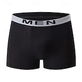 cheap Men's Boxers Underwear-Men's 10 Pack Basic Panties Boxers Underwear Briefs Elastic Waist Terylene Breathability Comfortable Letters Multi color