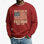 cheap Flag Pattern-Men's Graphic American US Flag 250th Anniversary Sweatshirt Sports Fashion Daily Classic Crew Neck Outdoor Vacation Blue Black Red Green Printing Spring Fall Designer S M L XL XXL XXXL