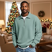 economico Natale-Per uomo Magliette Polo a Nido d'Ape Testurizzato All'aperto Casual Zip a un quarto Manica Lunga Moda Moderno Tinta unica Testurizzato Lavorato a maglia Primavera &amp; Autunno Tutte le stagioni