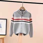 abordables Pulls et cardigans pour garçons-Chandail Enfants Garçons Rayure manche longue Garder au chaud Extérieur Mode Quotidien Basique bleu marine Gris Automne Hiver Vêtements 4 ans et +