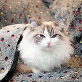 cheap Mats &amp; Blankets-Premium Soft Dog Blanket Washable  Cat Blanket for Indoor Cats Large Medium Small Dog Puppy Essentials