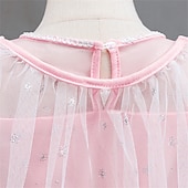 Недорогие Костюмы для девочек-Неделя книги 2026, детское платье для девочек, вечернее платье, платье с коротким рукавом и снежинками, для торжественных мероприятий, выступлений, особых случаев, с пайетками, сетчатое, модное, повседневное, принцесса, макси-платье, вечернее платье, плат