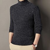 preiswerte Herrenpullover-Herren Pullover Strickpullover Gerippt Stricken Normale Oberteile Gestrickt Einfach Rollkragen Mode Basic Urlaub Alltagskleidung Bekleidung Herbst Winter Schwarz Kaffee M L XL