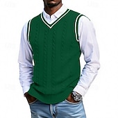 Недорогие мужские свитера жилет-Муж. Свитер жилет Платье-свитер Пуловер Свитер Жилет Вязаный свитер Рельефный узор Вязать Обычные топы Трикотаж Пэчворк V-образный вырез Мода Уличный стиль Отпуск Бизнес Одежда Без рукавов Осень Зима