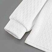 voordelige Klassieke polo voor heren-Voor heren Trui-sweatshirt Polo met rits Vakantie Straat Rits Lange mouw Modieus Basic Geometrisch Effen Mode Lente &amp; Herfst Alle seizoenen Normale pasvorm Zwart Wit khaki Donkergrijs Trui-sweatshirt