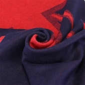 Недорогие Мужские шарфы и перчатки-Муж. Прямоугольный платок на открытом воздухе На каждый день Повседневные Красный Темно-синий ШАРФ Полоса