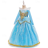 baratos Fantasia de Menina-Vestido de festa infantil feminino para a Semana do Livro 2026, com estampa floral, manga longa, para ocasiões formais, apresentações e eventos especiais. Renda, estilo princesa, maxi, para uso diário, com modelagem evasê e tule. Disponível nas cores rosa