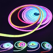 cheap Smart Strip Lights-1Set 5V RGBIC Neon Strip Light 1M 2M 3M 5M 10m USB Waterproof Flexible Ribbon Tape Neon Lights With APP Bluetooth Remote Control For Home Decor