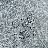 preiswerte Esszimmerstuhl-Abdeckung-Elastische, wasserdichte Stuhlhussen (1/4/6er-Pack), staubdicht und kratzfest, universeller Stuhlschutz, strapazierfähiger und stilvoller Sitzbezug für Esszimmerstühle und Hocker.