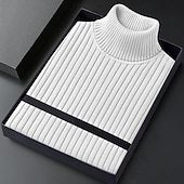 ieftine pulover pentru bărbați-Bărbați Pulover cu gât rotic Pulover pulover Striat Tricotat Topuri obișnuite Tricotat Striat Simplu Gât Înalt De Bază Păstrați-vă cald Casual Purtare Zilnică Îmbrăcăminte Iarnă Albastru piscină Negru