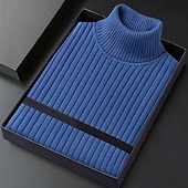 ieftine pulover pentru bărbați-Bărbați Pulover cu gât rotic Pulover pulover Striat Tricotat Topuri obișnuite Tricotat Striat Simplu Gât Înalt De Bază Păstrați-vă cald Casual Purtare Zilnică Îmbrăcăminte Iarnă Albastru piscină Negru