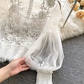 Χαμηλού Κόστους Δαντέλα κορυφές-Γυναικεία Μπλούζα Δαντέλα Κουρελού Σκέτο Βίντατζ Στυλάτο Μακρυμάνικο Ζιβάγκο Κανονικά μπλουζάκια Καθημερινά Εξόδου Θαλασσί Μαύρο Λευκό Χακί Σομόν Καλοκαίρι Άνοιξη Φθινόπωρο Χειμώνας