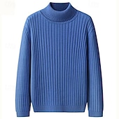 ieftine pulover pentru bărbați-Bărbați Pulover cu gât rotic Pulover pulover Striat Tricotat Topuri obișnuite Tricotat Striat Simplu Gât Înalt De Bază Păstrați-vă cald Casual Purtare Zilnică Îmbrăcăminte Iarnă Albastru piscină Negru