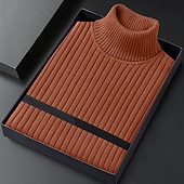 ieftine pulover pentru bărbați-Bărbați Pulover cu gât rotic Pulover pulover Striat Tricotat Topuri obișnuite Tricotat Striat Simplu Gât Înalt De Bază Păstrați-vă cald Casual Purtare Zilnică Îmbrăcăminte Iarnă Albastru piscină Negru