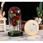 abordables Luces decorativas-Luz nocturna decorativa de rosa LED simulada para el Día de la Madre 21.5 * 11.5CM Regalo para novia esposa y madre Luz ornamental de ambiente en dormitorio interior batería AAA cubierta transparente