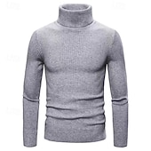 cheap Men's Pullover Sweater-Men's Turtleneck Sweater Pullover Sweater Jumper Cropped Sweater Ribbed Knit Regular Tops Knit Plain Turtleneck Modern Contemporary Casual Casual Work Clothing Apparel Fall Winter Wine Black S M L