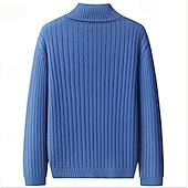 ieftine pulover pentru bărbați-Bărbați Pulover cu gât rotic Pulover pulover Striat Tricotat Topuri obișnuite Tricotat Striat Simplu Gât Înalt De Bază Păstrați-vă cald Casual Purtare Zilnică Îmbrăcăminte Iarnă Albastru piscină Negru