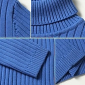 ieftine pulover pentru bărbați-Bărbați Pulover cu gât rotic Pulover pulover Striat Tricotat Topuri obișnuite Tricotat Striat Simplu Gât Înalt De Bază Păstrați-vă cald Casual Purtare Zilnică Îmbrăcăminte Iarnă Albastru piscină Negru