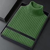 ieftine pulover pentru bărbați-Bărbați Pulover cu gât rotic Pulover pulover Striat Tricotat Topuri obișnuite Tricotat Striat Simplu Gât Înalt De Bază Păstrați-vă cald Casual Purtare Zilnică Îmbrăcăminte Iarnă Albastru piscină Negru